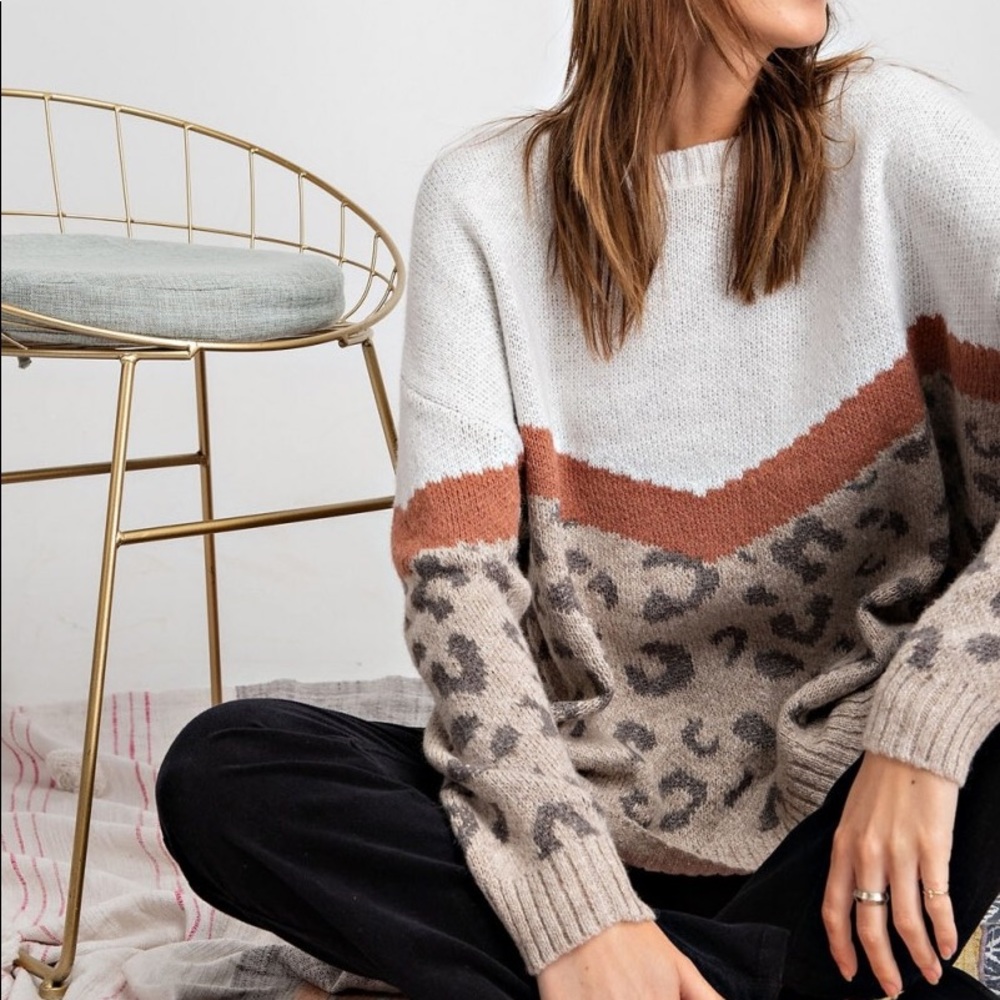 Make Offer🌷Mushroom Chevron Leopard Print Sweater - Picture 2 of 5